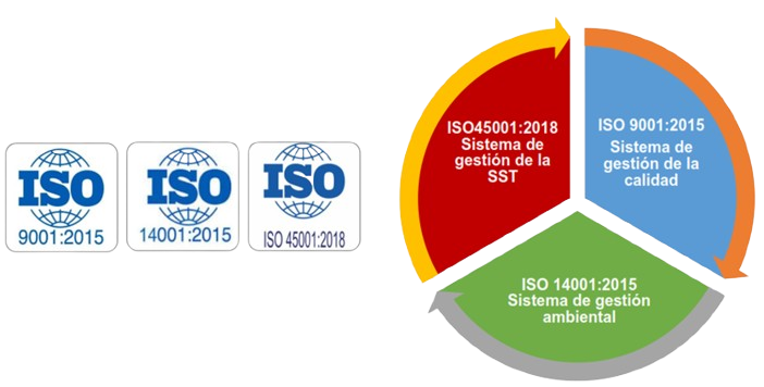 Professional team at work